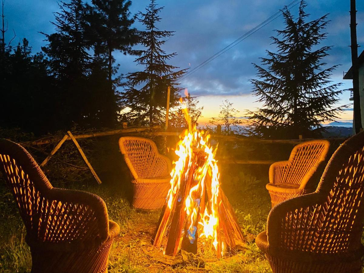 Aachman Nature Valley Resort Shimla Buitenkant foto